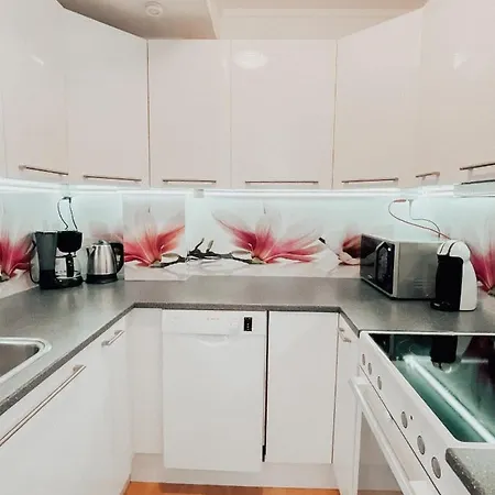 With 2bedrooms Near The Train And Buss Station 모스